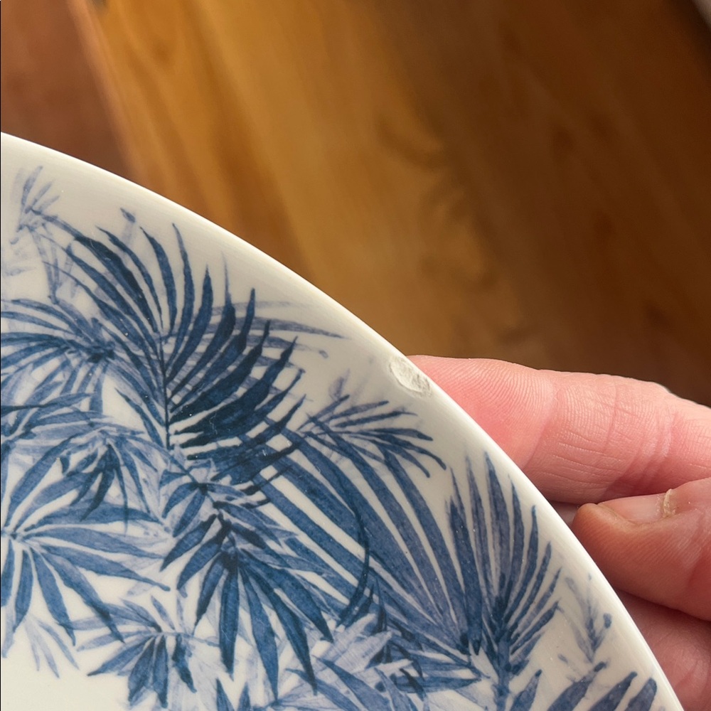 Laboratorio Paravicini “Jungle” 23cm Plates – Set of 4 Handcrafted - Picture 17 of 17